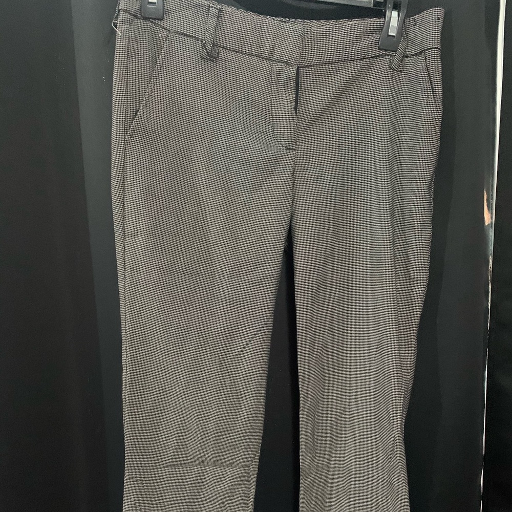 Dress pants